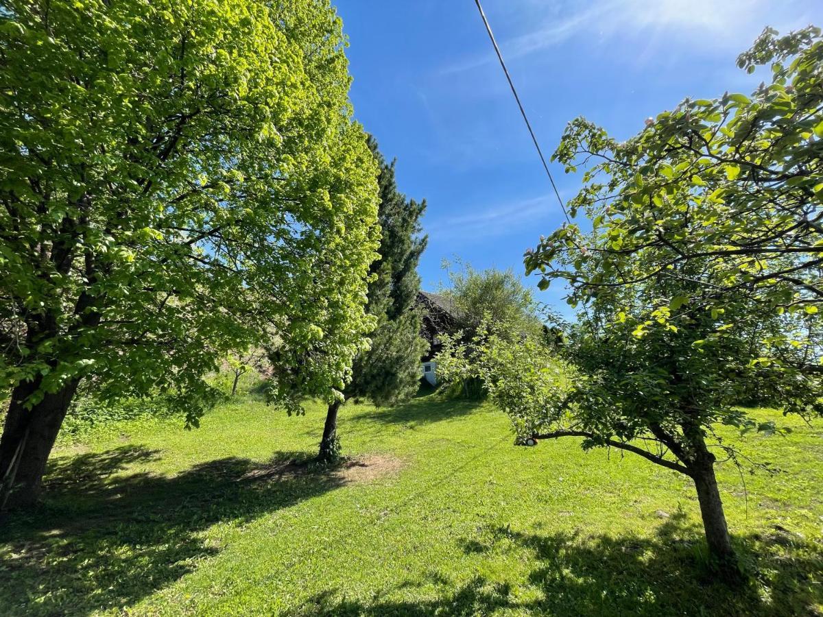 Ferienhuette Bosic Villa Baierdorf Екстериор снимка