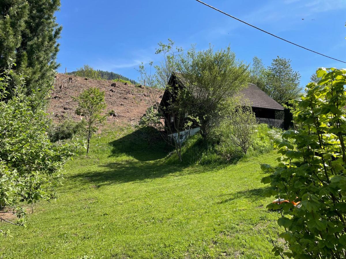 Ferienhuette Bosic Villa Baierdorf Екстериор снимка
